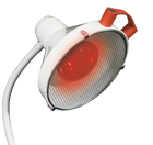 Replacement bulb for the Thera/Thera Duo 250W Infrared Lamp - LID